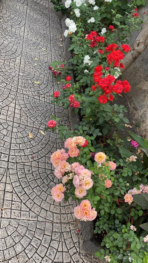 Villa Casa delle Rose Aeroporto di Catania Fontana Rossa Esterno foto